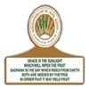 Bhubaneswar Institute of Management and Information Technology, Bhubaneshwar